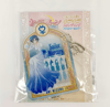 Sailor Mercury x Tsutaya Kira Kira Standing Acrylic Key Holder