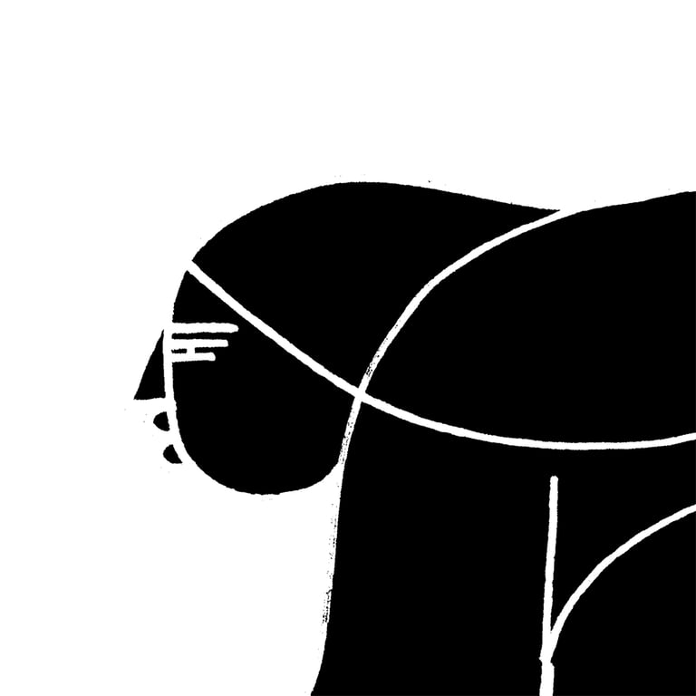 Crawl Image 3