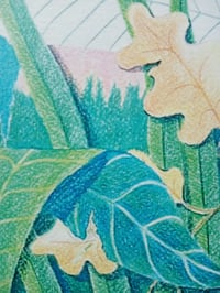 Image 2 of LES FEUILLAGES