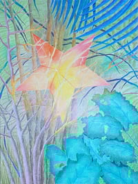 Image 1 of L'ETOILE