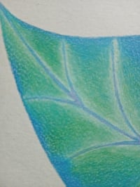 Image 4 of LA GREFFE