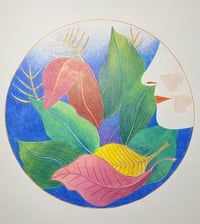 Image 1 of POMONE