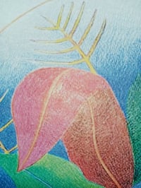 Image 4 of POMONE
