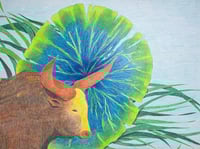 Image 1 of LE BUFFLE