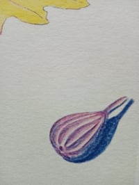 Image 3 of FICUS CARICA
