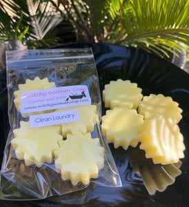 Image of Clean Laundry Wax Melts
