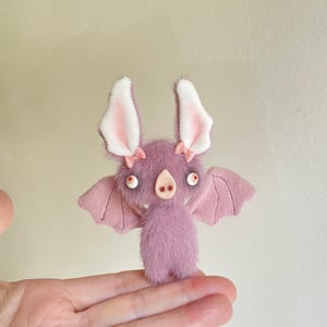 Image of Viola the Baby Bat