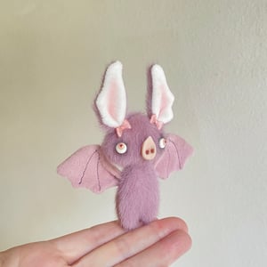 Image of Viola the Baby Bat