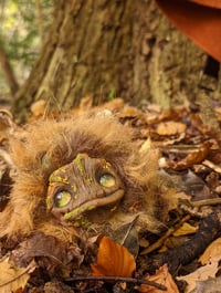 Image 1 of Longhaired Munchroller
