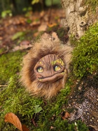 Image 4 of Longhaired Munchroller