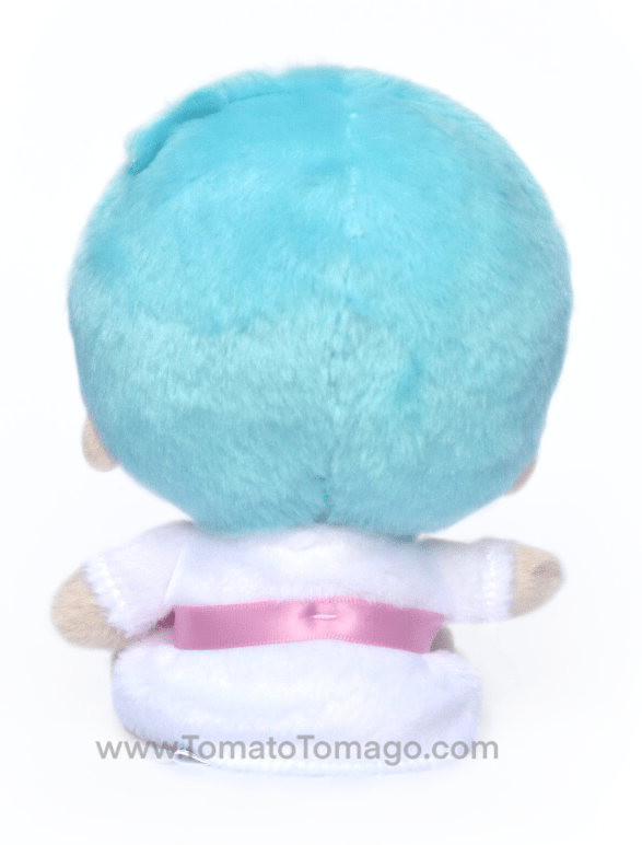 Little Twin Stars Beanie Plushies (Set of 2)