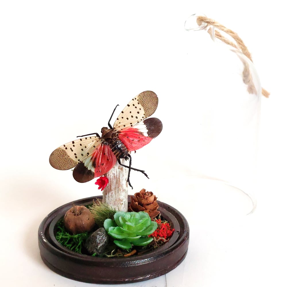 Image of Spotted Lanternfly Woodland Hanging Cloche