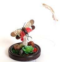 Image 1 of Spotted Lanternfly Woodland Hanging Cloche