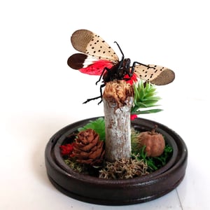 Image of Spotted Lanternfly Woodland Hanging Cloche