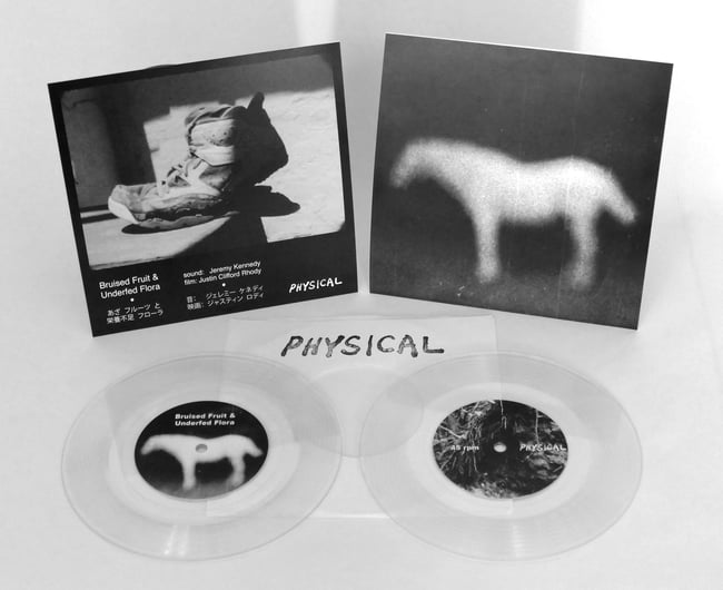 Bruised Fruit & Underfed Flora [film score], by Jeremy Kennedy - 7" RECORD