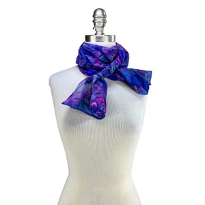 Image of Remembering Reims