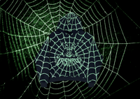 Image 1 of Arachnid Attack Hoodie