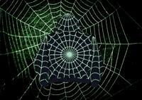 Image 2 of Arachnid Attack Hoodie