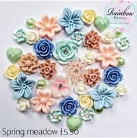 Spring meadow