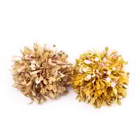 Image 1 of BARRETTE AZAMI   OR - BEIGE