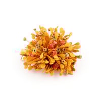 BARRETTE AZAMI   MIEL