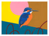 Kingfisher (Ripple) 