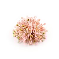 Image 2 of BARRETTE AZAMI   POUDRÉ