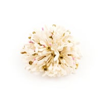 Image 3 of BARRETTE AZAMI   POUDRÉ