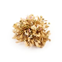 Image 2 of BARRETTE AZAMI   OR - BEIGE