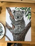 Koala | fine art print Image 4