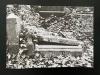 Image 1 of Graveyard Zine 