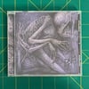 PALSIED "Certain Death Austerities" CD
