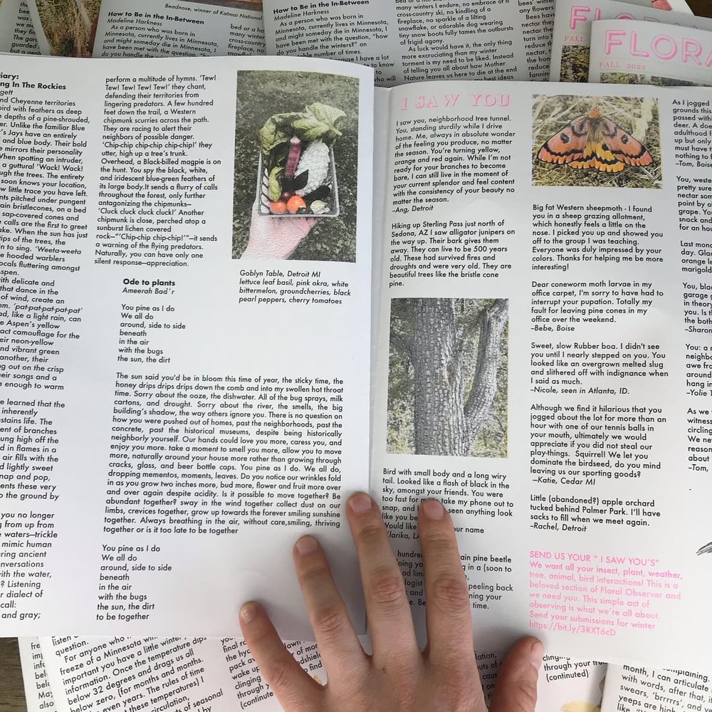  FLORAL OBSERVER Issue 3: Fall 2022