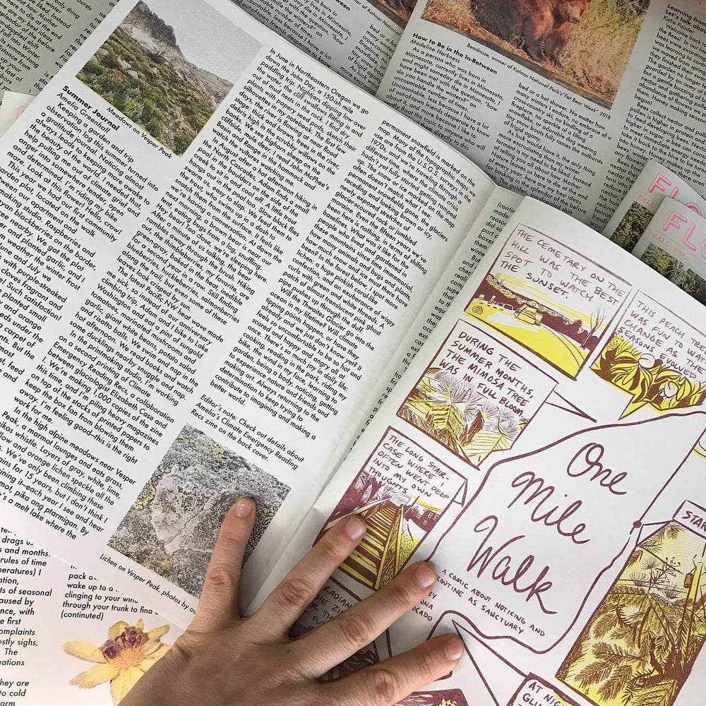FLORAL OBSERVER Issue 3: Fall 2022
