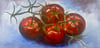 Four Tomatoes on the Vine (20x10)