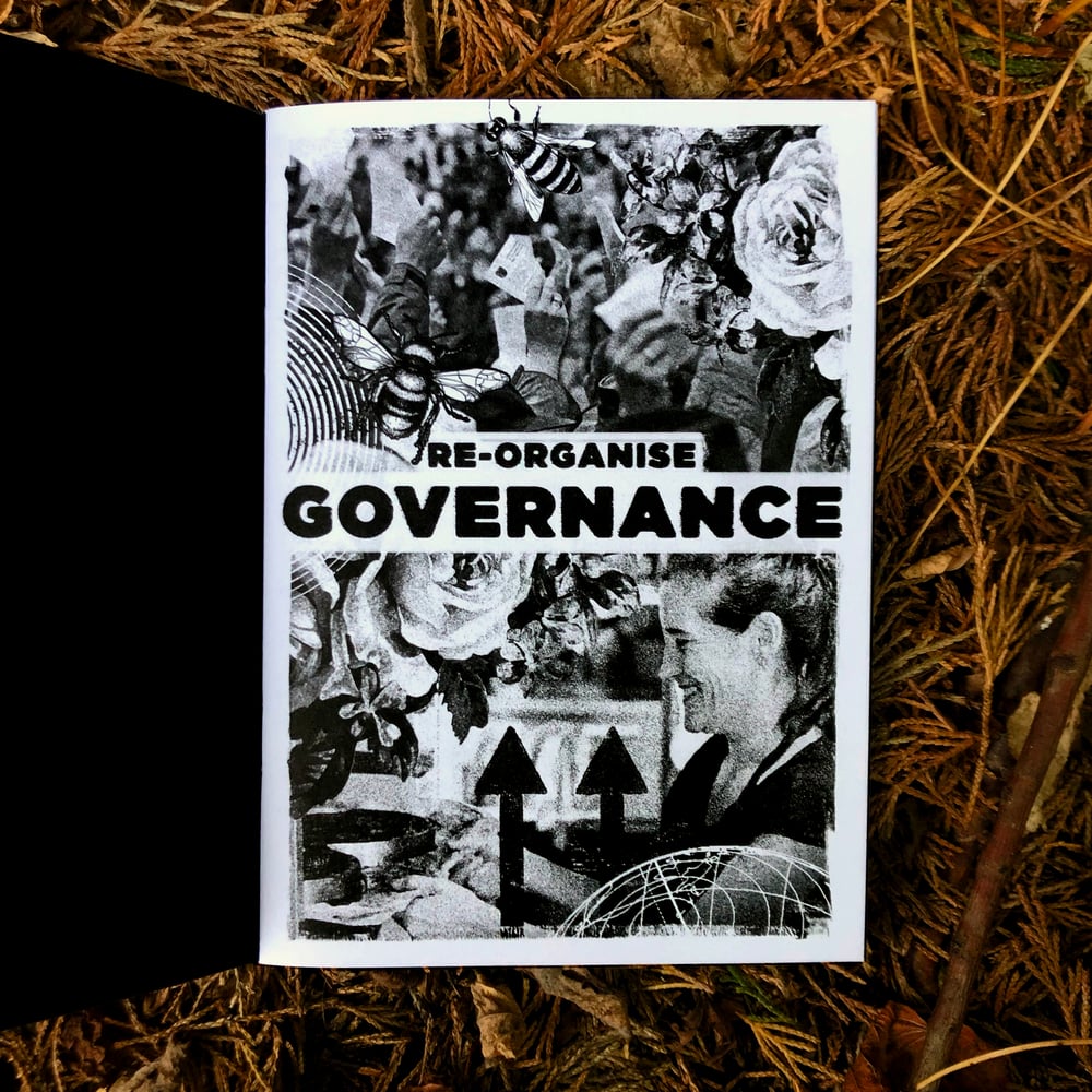 Re-Organise – Governance