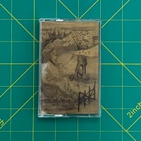 Image 1 of PALSIED "Distended" CS