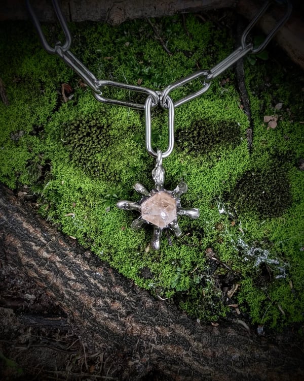 Image of Starflower 