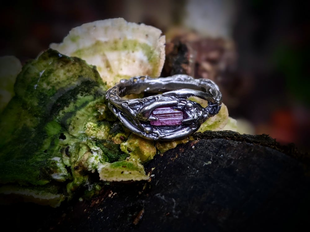Image of Rose Silmaril 