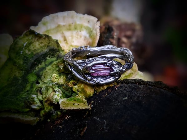 Image of Rose Silmaril 