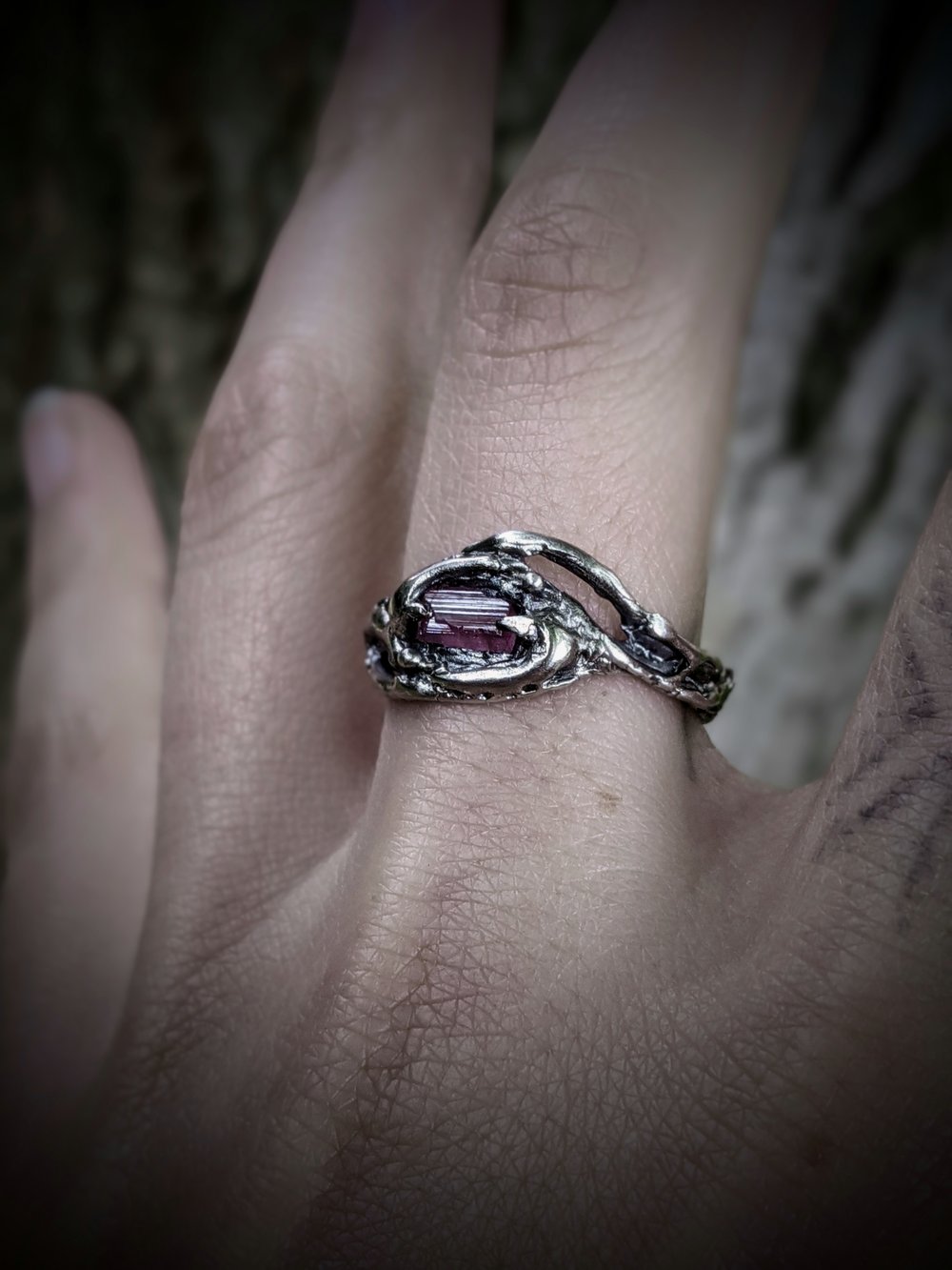 Image of Rose Silmaril 
