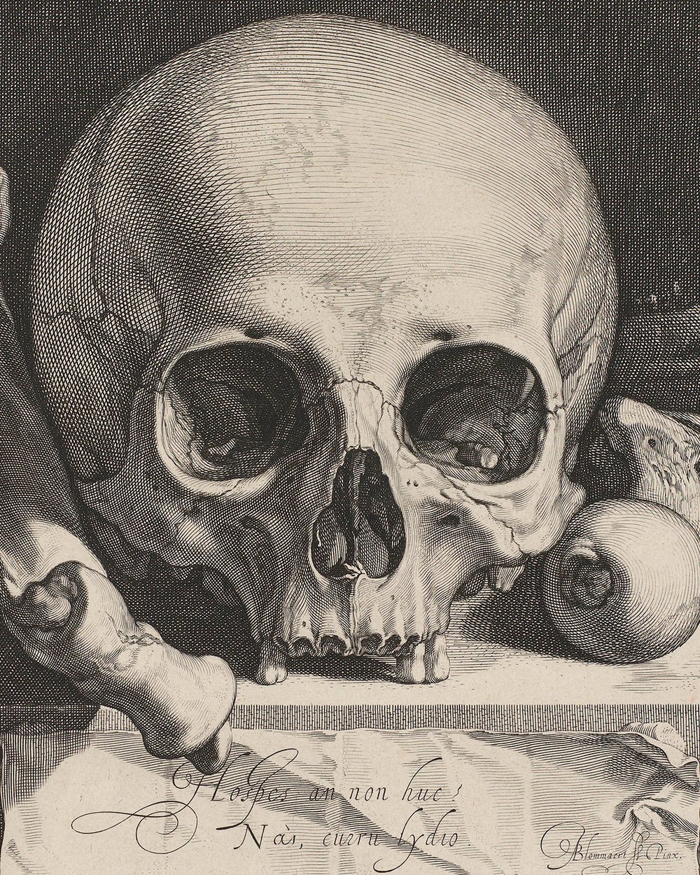 ''Vanitasstilleven met doodskop'' (1575 - 1607)