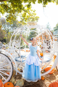 Image 3 of 2025 LIMITED PUMPKIN MINI SESSIONS - $199+ tax 