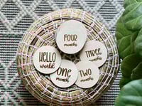 Image 2 of Monthly Milestone Disc Set