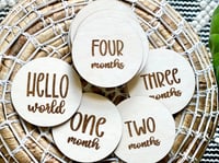 Image 3 of Monthly Milestone Disc Set