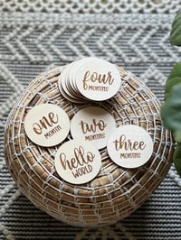 Image 2 of Monthly Milestone Disc Set - Script 