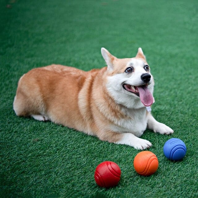 Image of The Bouncy Ball 