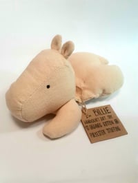 Billie the Hippo 