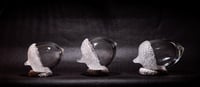 Image 1 of LARGE blown glass acorn - made to order