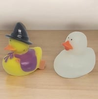 Image 2 of Mini Ducks